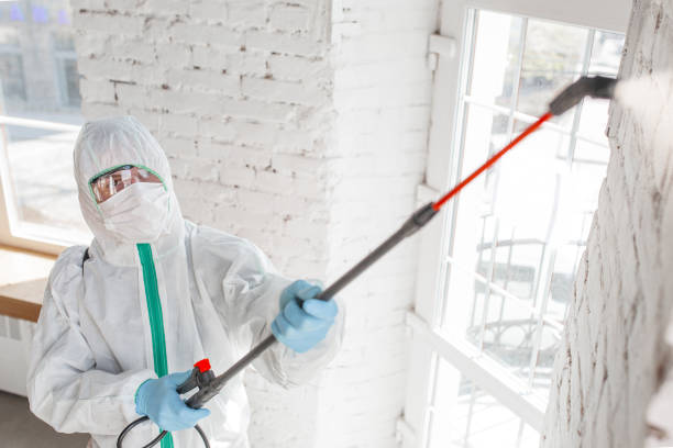 Best Mold Prevention Services  in Wanaque, NJ