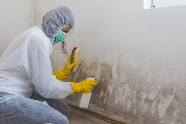 Best Biohazard Mold Removal  in Wanaque, NJ