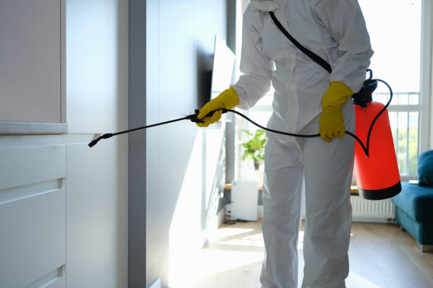 Best Basement Mold Removal  in Wanaque, NJ