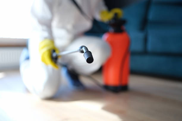  Wanaque, NJ Mold Removal Pros